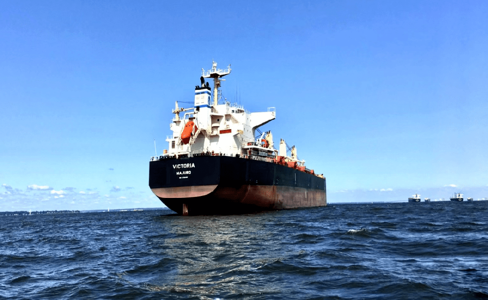 【深度解析】REACH检测：电子消费品欧盟合规的核心逻辑与实践